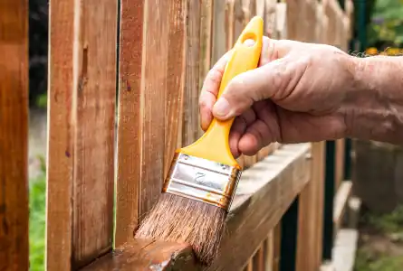 Fence Painting